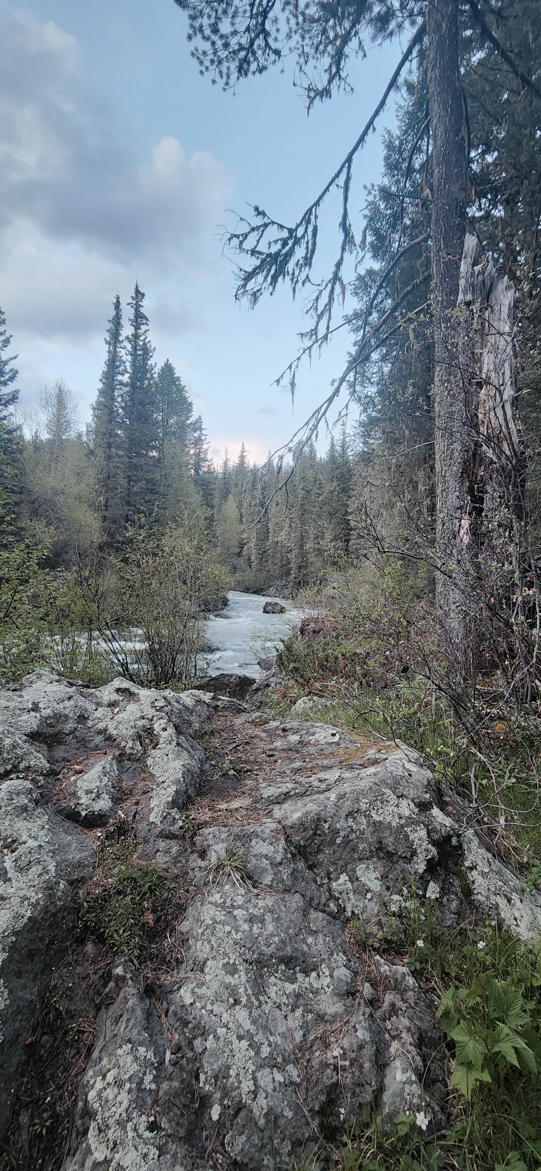 Camper-submitted photo at Del Norte Dispersed Camping near Pagosa Springs, CO