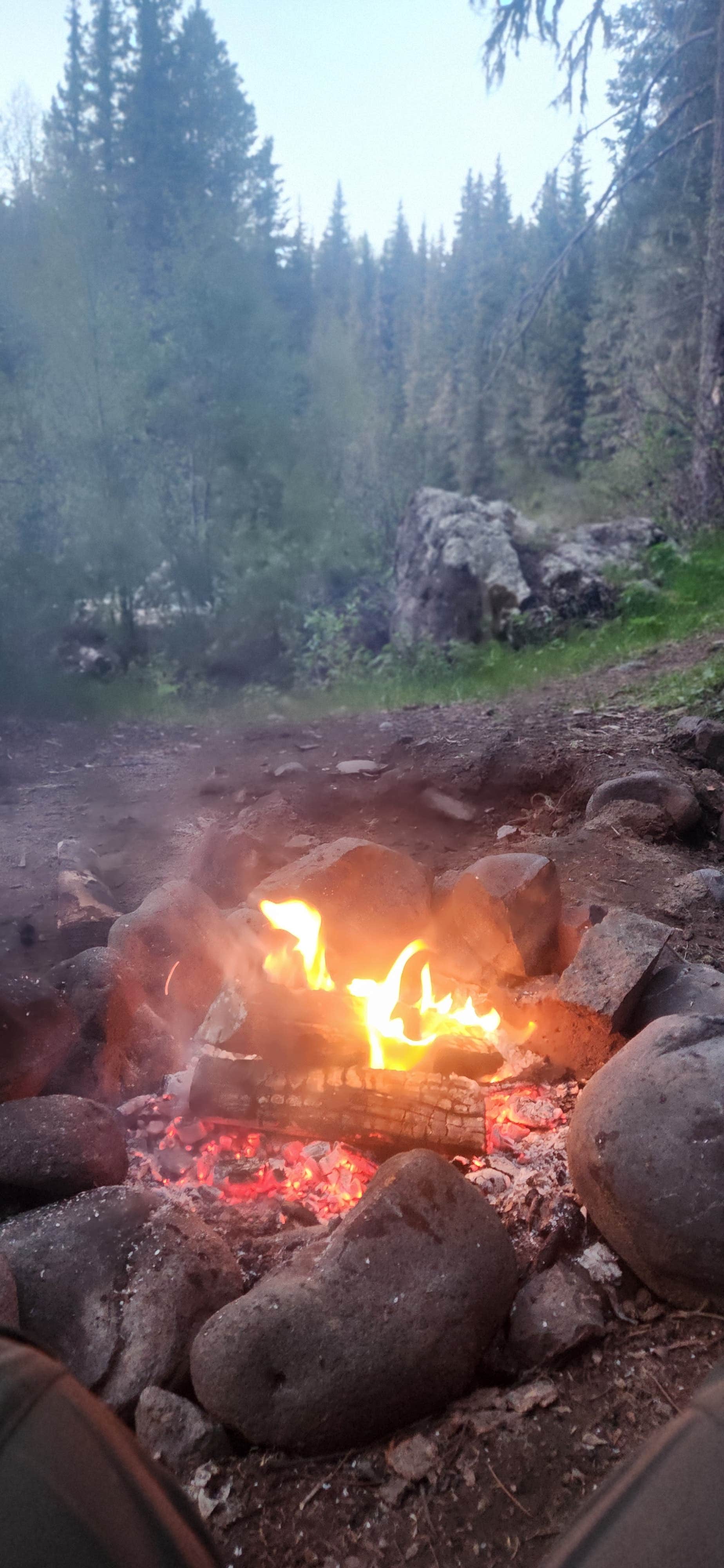 Camper-submitted photo at Del Norte Dispersed Camping near Pagosa Springs, CO