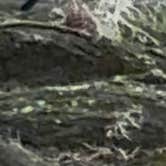 Review photo of Lums Pond State Park Campground by Catherine M., March 19, 2026