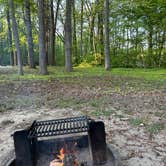 Review photo of Lums Pond State Park Campground by Sarah G., April 30, 2026