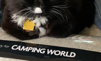 Laure D.'s photo of camping with pets at Lums Pond State Park Campground near Townsend, DE