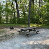 Review photo of Lums Pond State Park Campground by Sarah G., April 30, 2026