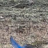 Review photo of Lums Pond State Park Campground by Catherine M., March 19, 2026