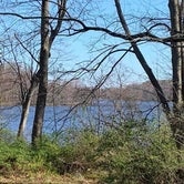 Review photo of Lums Pond State Park Campground by Laure D., March 31, 2024