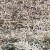 Review photo of Lums Pond State Park Campground by Catherine M., March 19, 2026