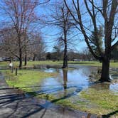 Review photo of Lums Pond State Park Campground by Laure D., March 31, 2024