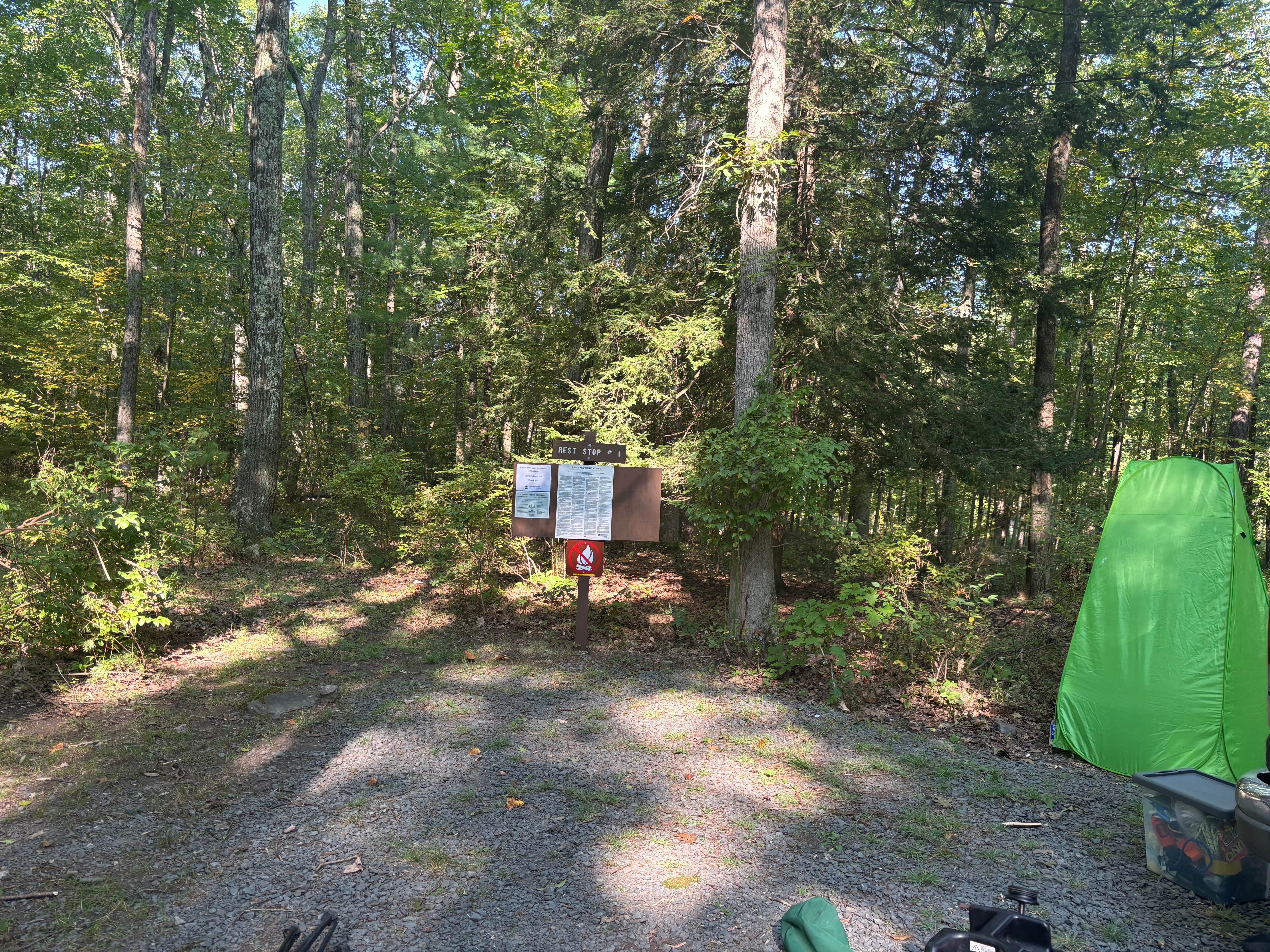 Camper submitted image from Delaware State Forest Rest Stop Sites - 3