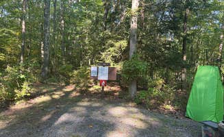 Lucy P.'s photo at Owego Roadside Campsites — Delaware State Forest near Paupack, PA