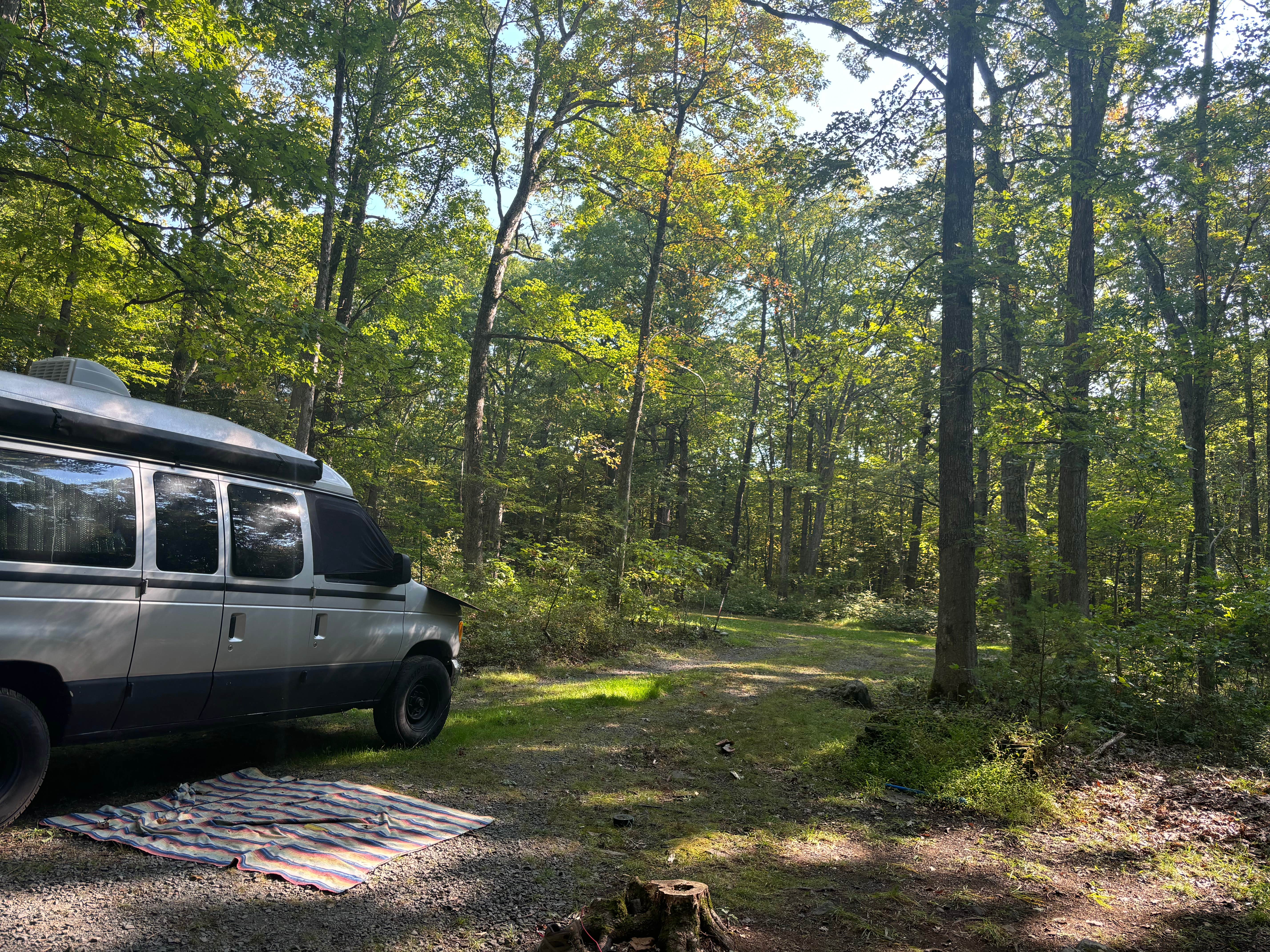 Camper submitted image from Delaware State Forest Rest Stop Sites - 1