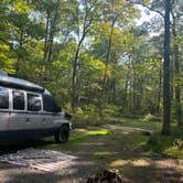 Review photo of Delaware State Forest Rest Stop Sites by Lucy P., September 15, 2024