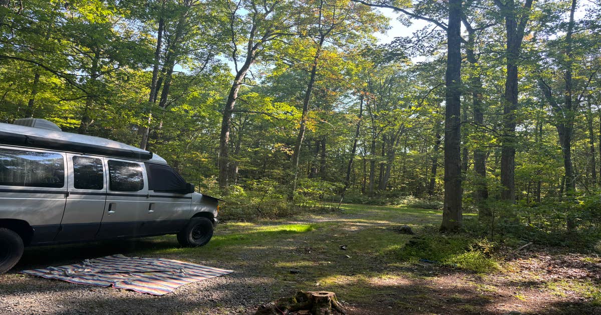 Owego Roadside Campsites — Delaware State Forest | Lords Valley ...