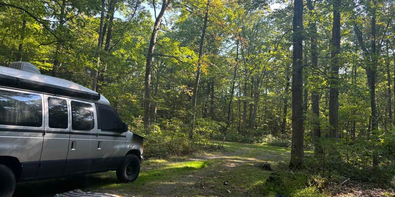 Camper submitted image from Owego Roadside Campsites — Delaware State Forest