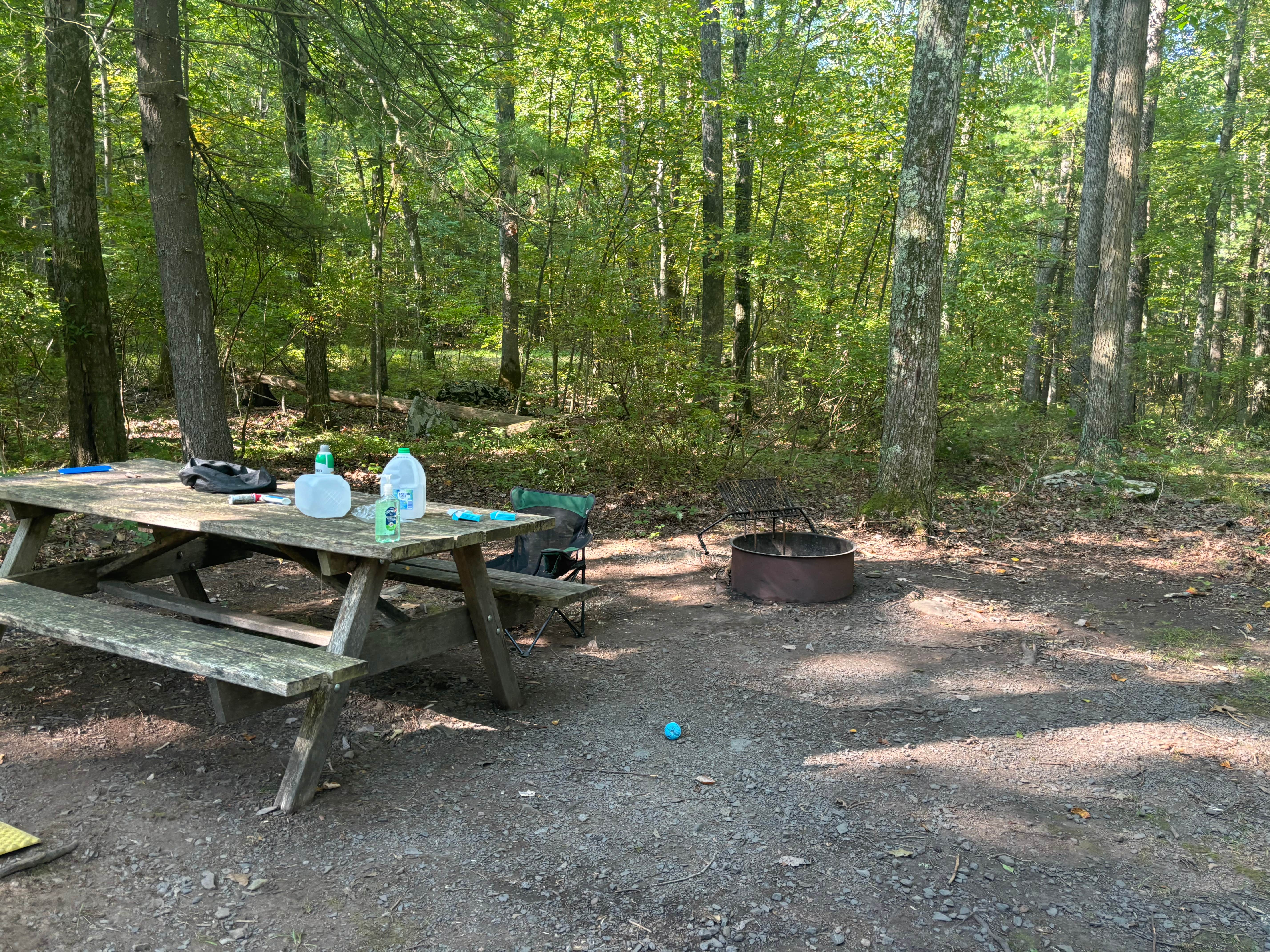 Camper submitted image from Delaware State Forest Rest Stop Sites - 2