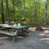 Review photo of Delaware State Forest Rest Stop Sites by Lucy P., September 15, 2024