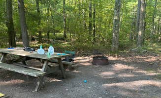 Lucy P.'s photo at Owego Roadside Campsites — Delaware State Forest near Barryville, NY
