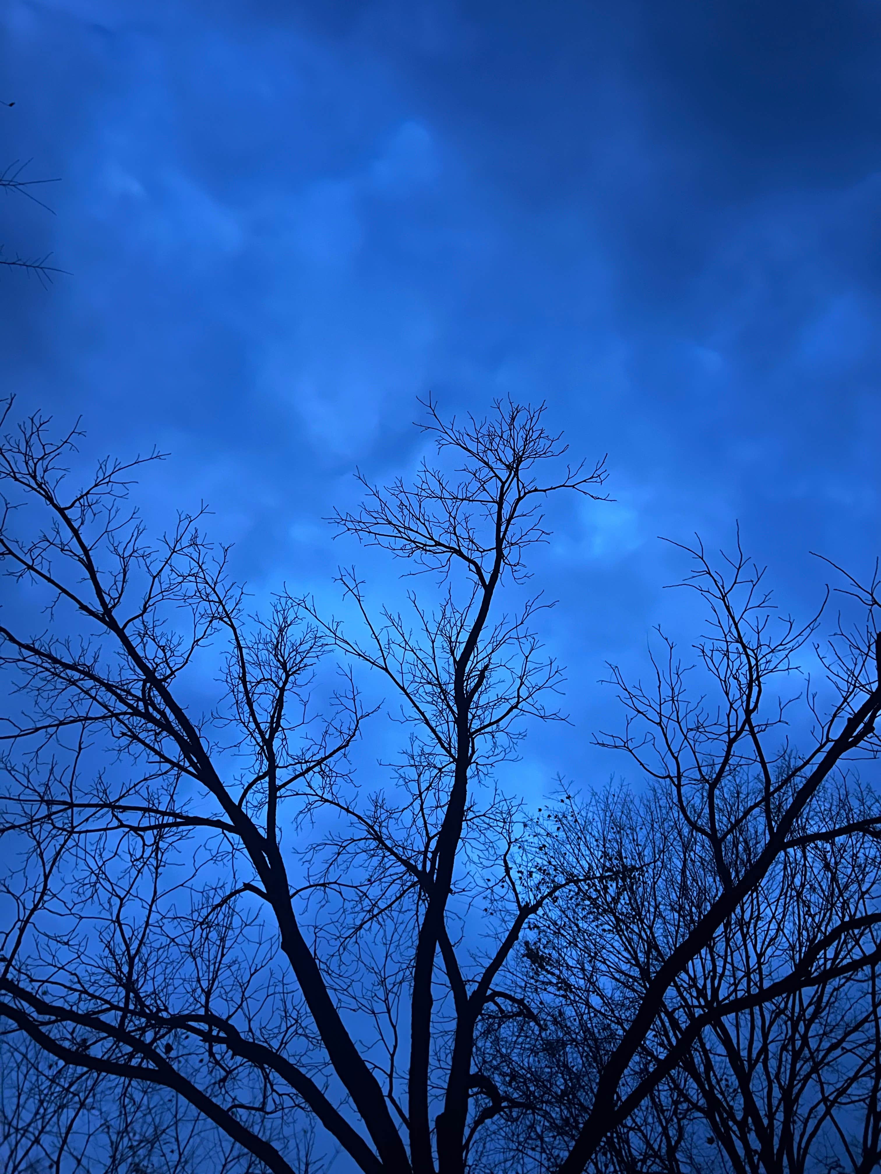 Camper-submitted photo at Delaware State Park Campground near Marysville, OH