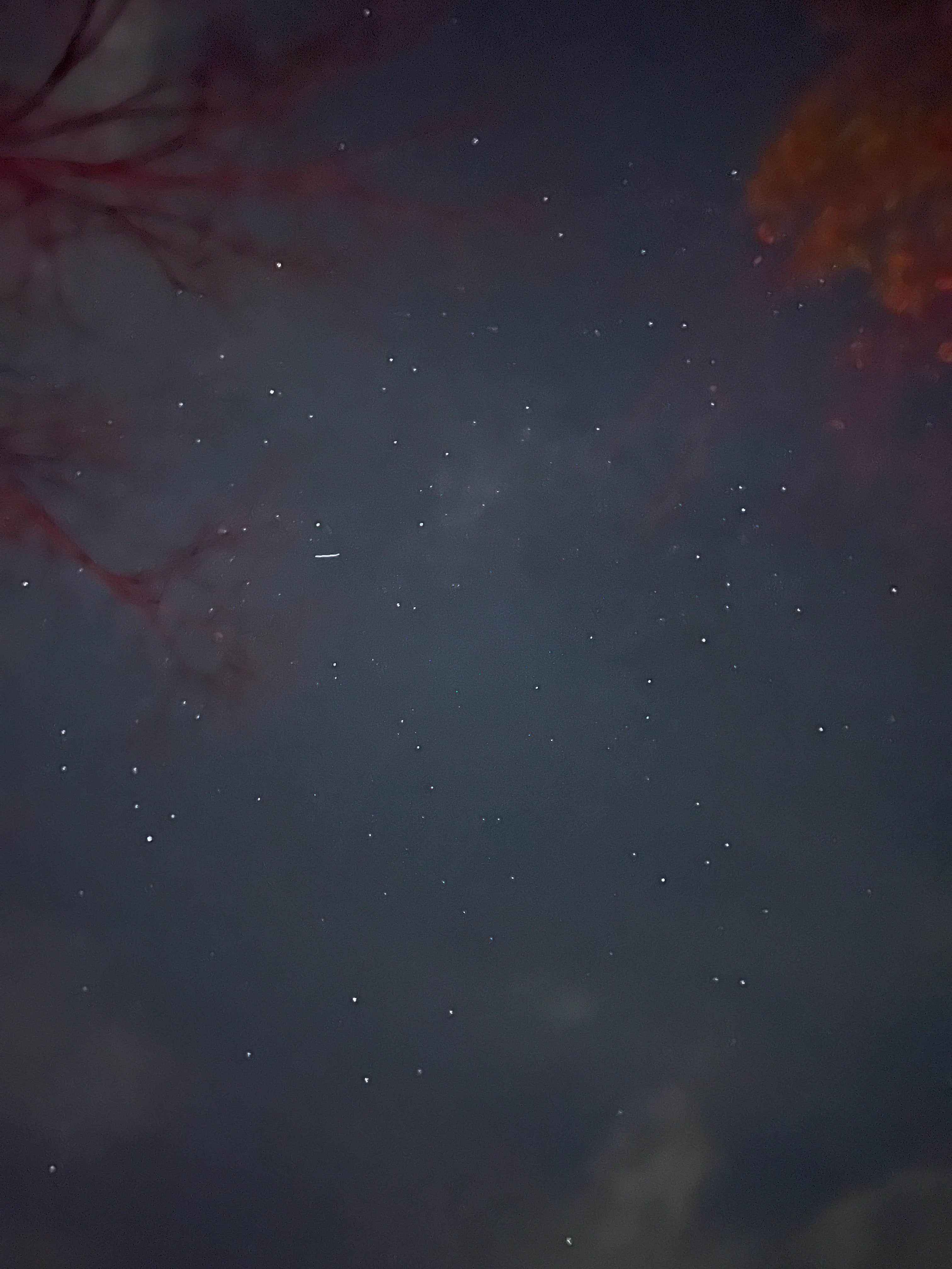 Camper-submitted photo at Delaware State Park Campground near Marysville, OH