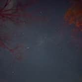 Review photo of Delaware State Park Campground by Taylor E., November 10, 2025