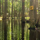 Review photo of Trap Pond State Park Campground by Stacy R., May 16, 2026