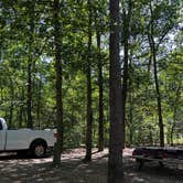 Review photo of Trap Pond State Park Campground by Aaron S., May 17, 2026