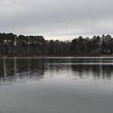 Review photo of Trap Pond State Park Campground by Alisha M., December 15, 2024