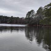 Review photo of Trap Pond State Park Campground by Alisha M., December 15, 2024