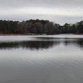 Review photo of Trap Pond State Park Campground by Alisha M., December 15, 2024