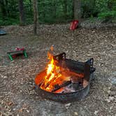 Review photo of Trap Pond State Park Campground by Aaron S., May 17, 2026