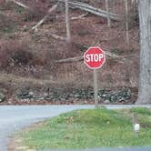 Review photo of Delaware Water Gap / Pocono Mountain KOA by Sue B., August 23, 2026