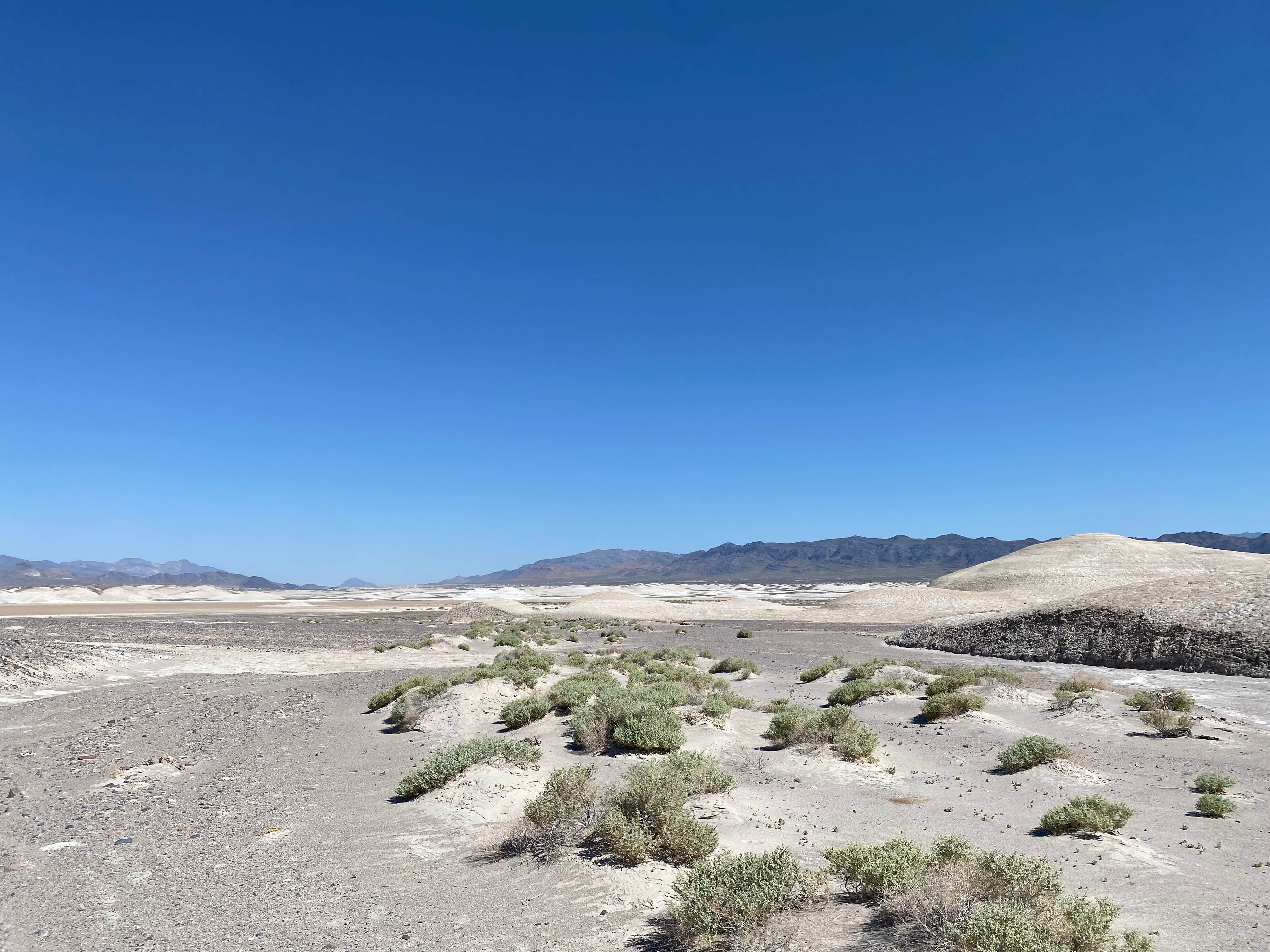 Camper-submitted photo at Delight’s Hot Springs Campground near Tecopa, CA