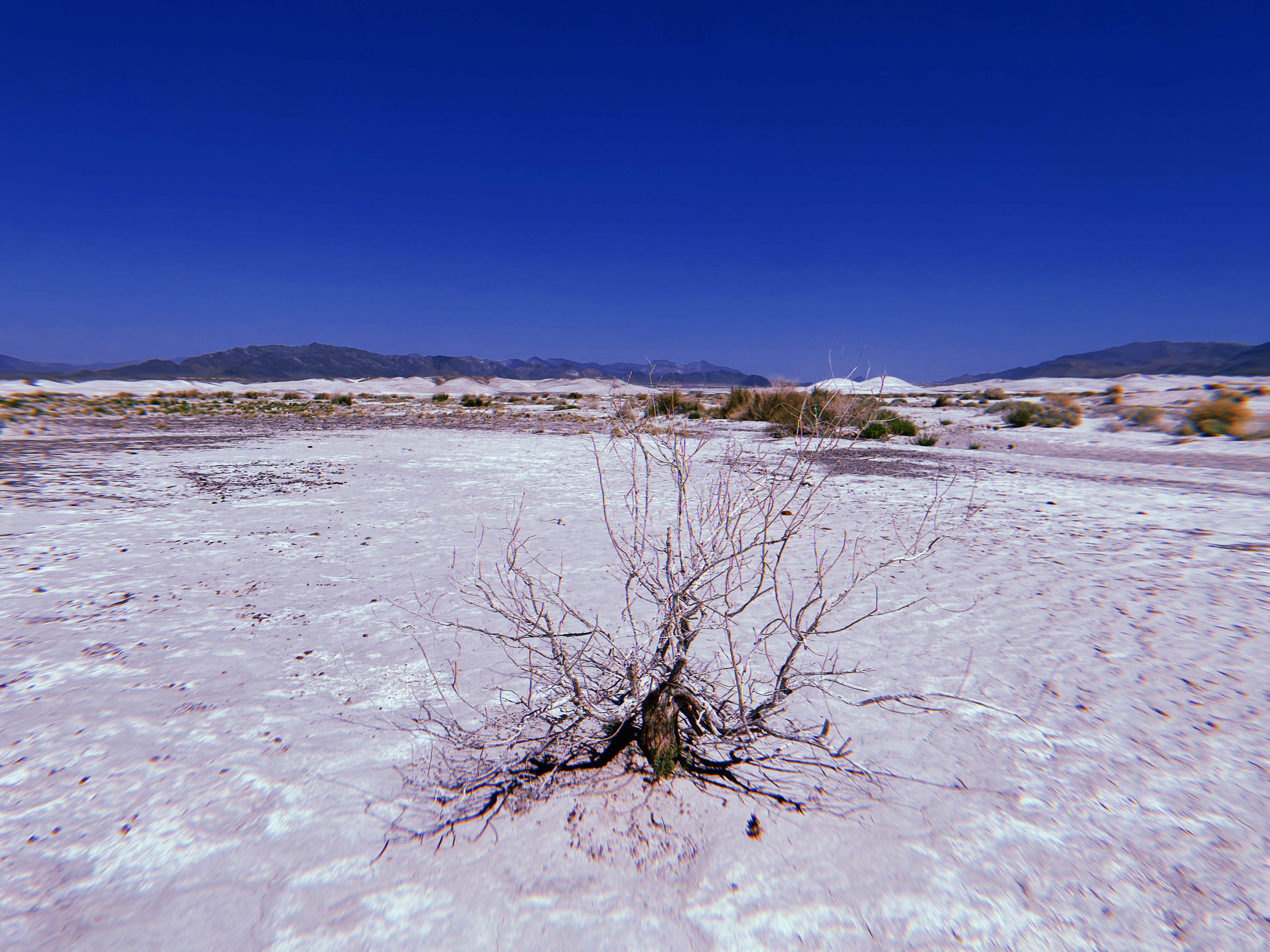Camper-submitted photo at Delight’s Hot Springs Campground near Tecopa, CA