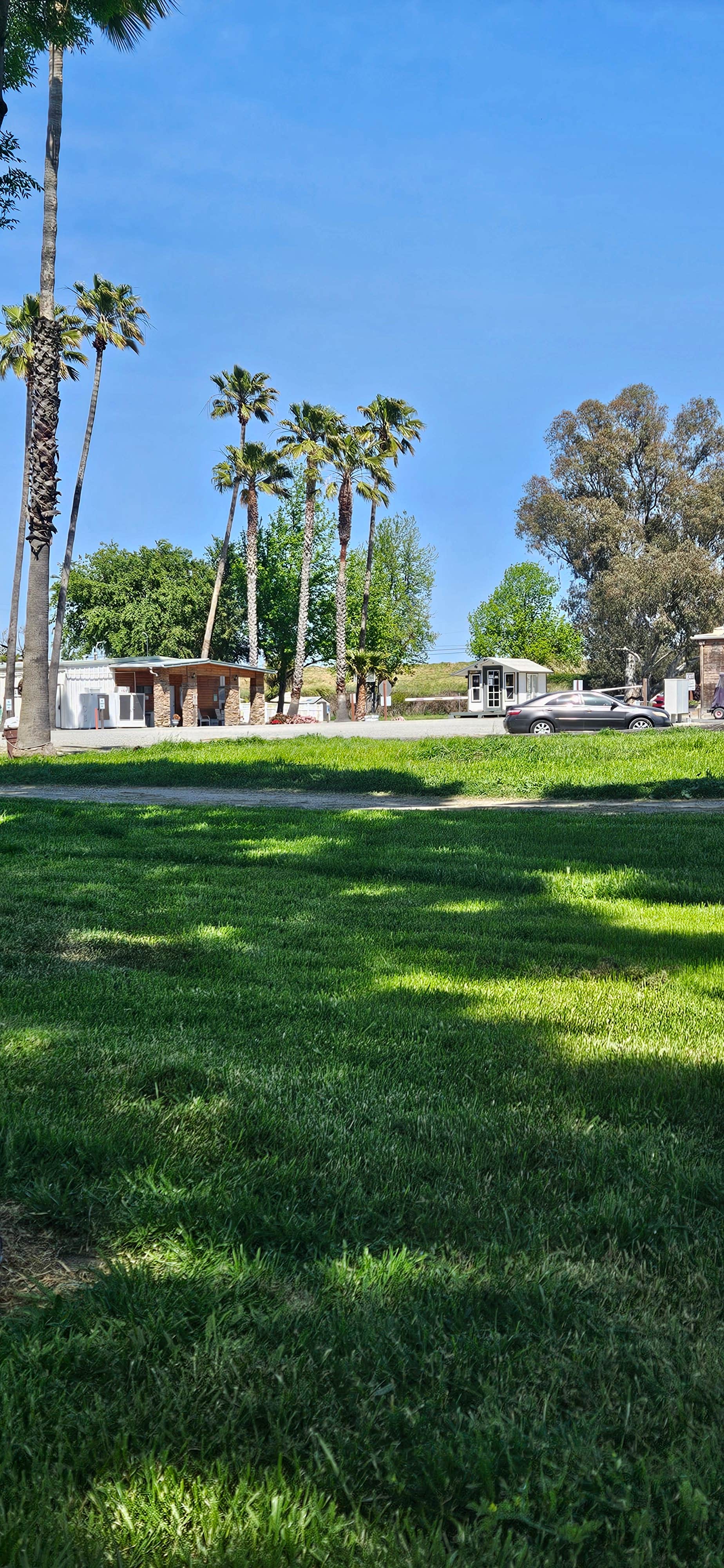 Camper-submitted photo at Delta Shores Resort and Marina near Pittsburg, CA