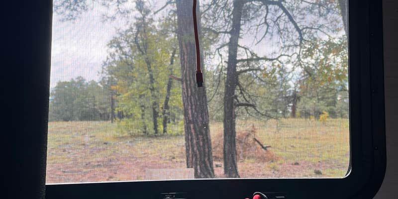 Camper submitted image from Dispersed Camping Coconino