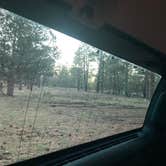 Review photo of Dispersed Camping Coconino by MATTHEW R., November 30, 2025