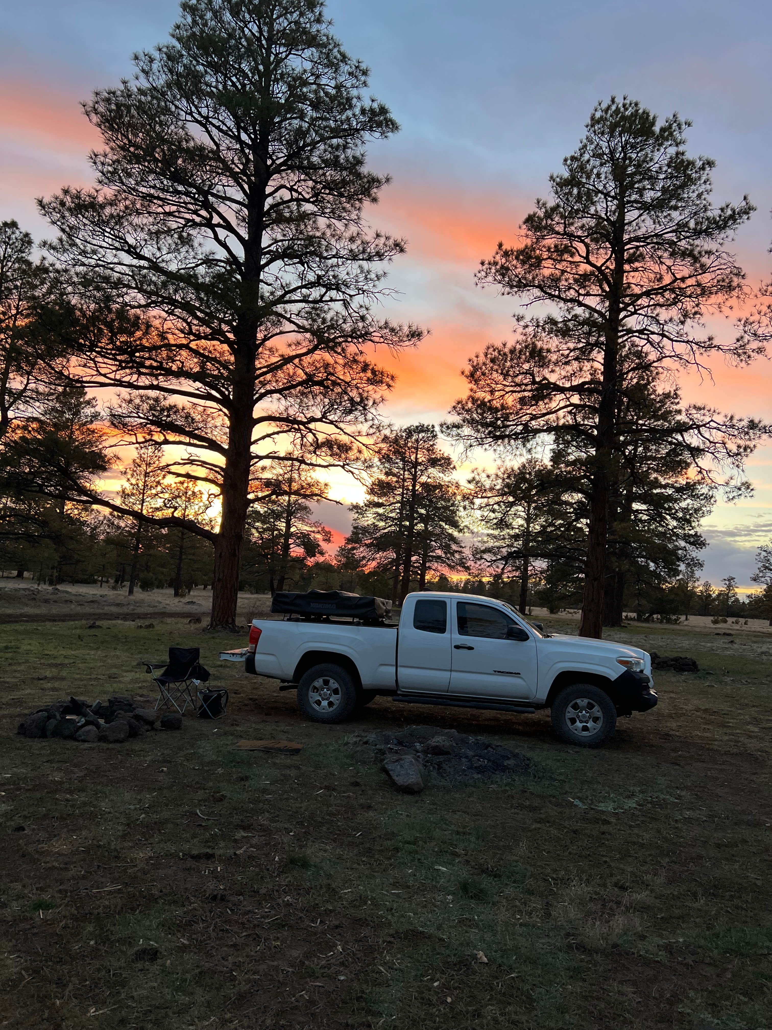Camper submitted image from Dispersed Camping Coconino - 3