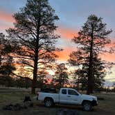 Review photo of Dispersed Camping Coconino by victor F., April 20, 2024