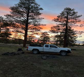 Camper-submitted photo from Dispersed Camping Coconino