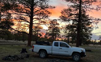 victor F.'s photo of a dispersed camping area at Dispersed Camping Coconino near Coconino National Forest