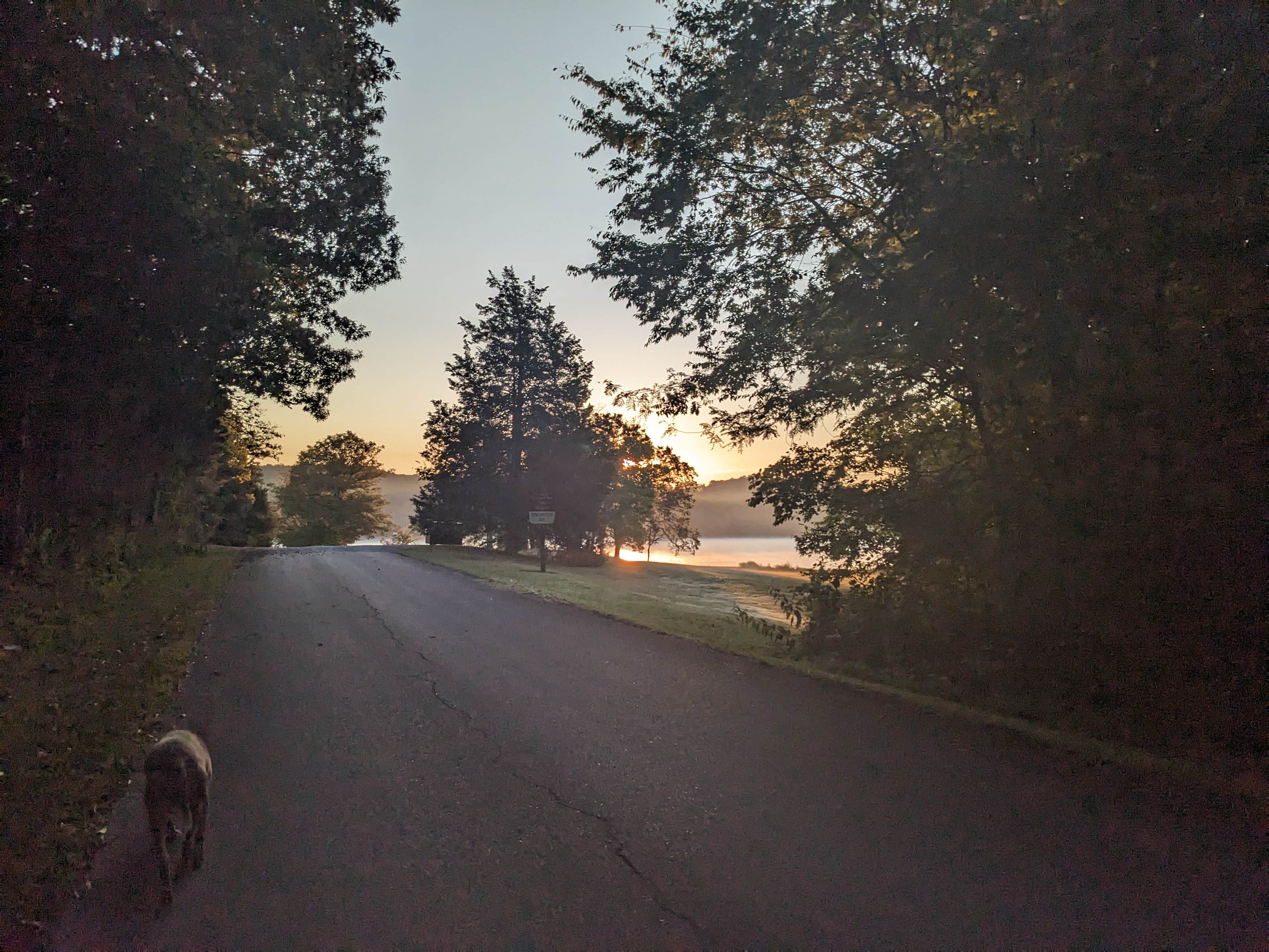 Kari M.'s photo of a dispersed camping area at Demumber's Bay near Oak Grove, KY