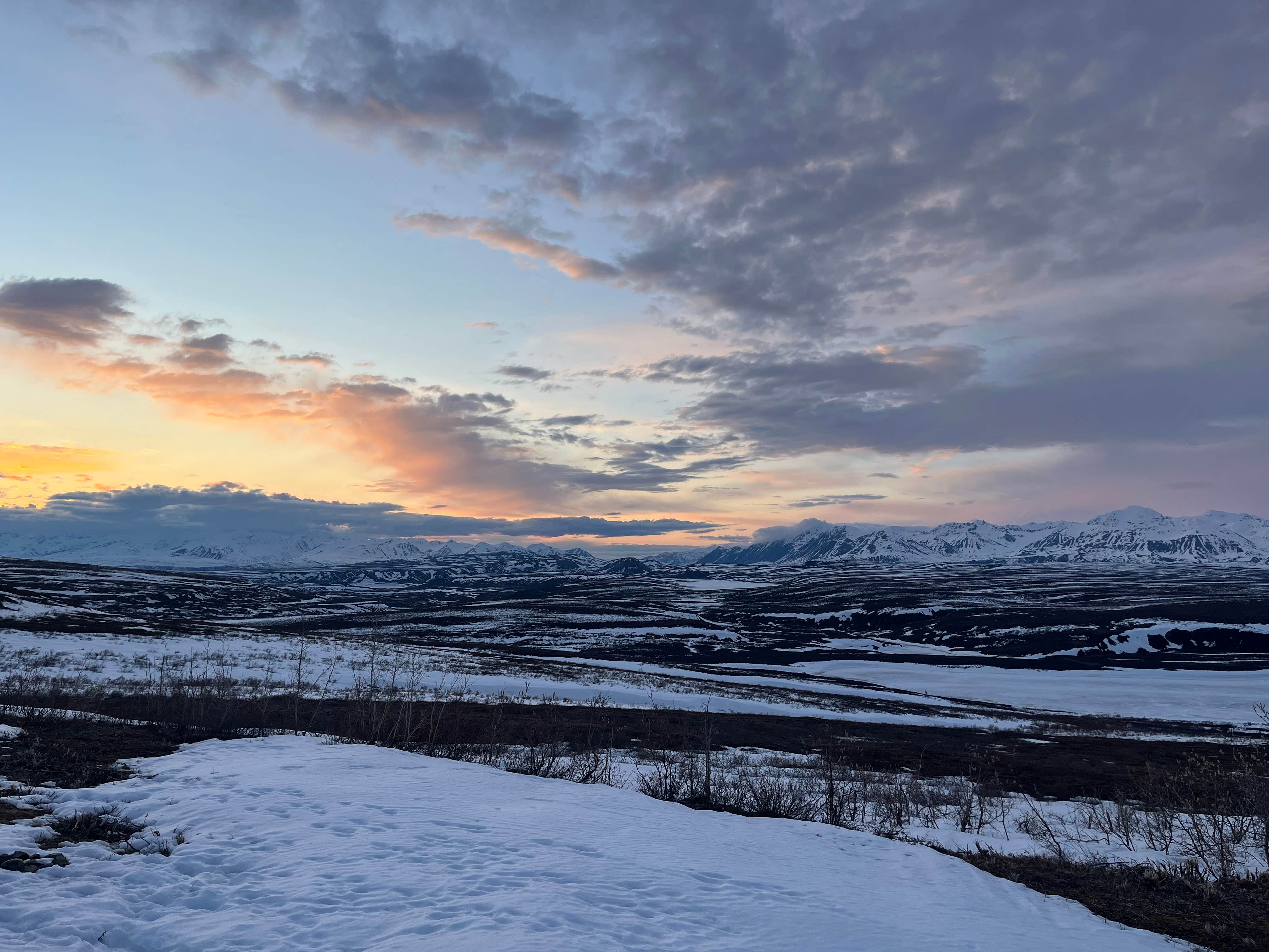 Camper submitted image from Denali Highway Mile 6.5 - 1