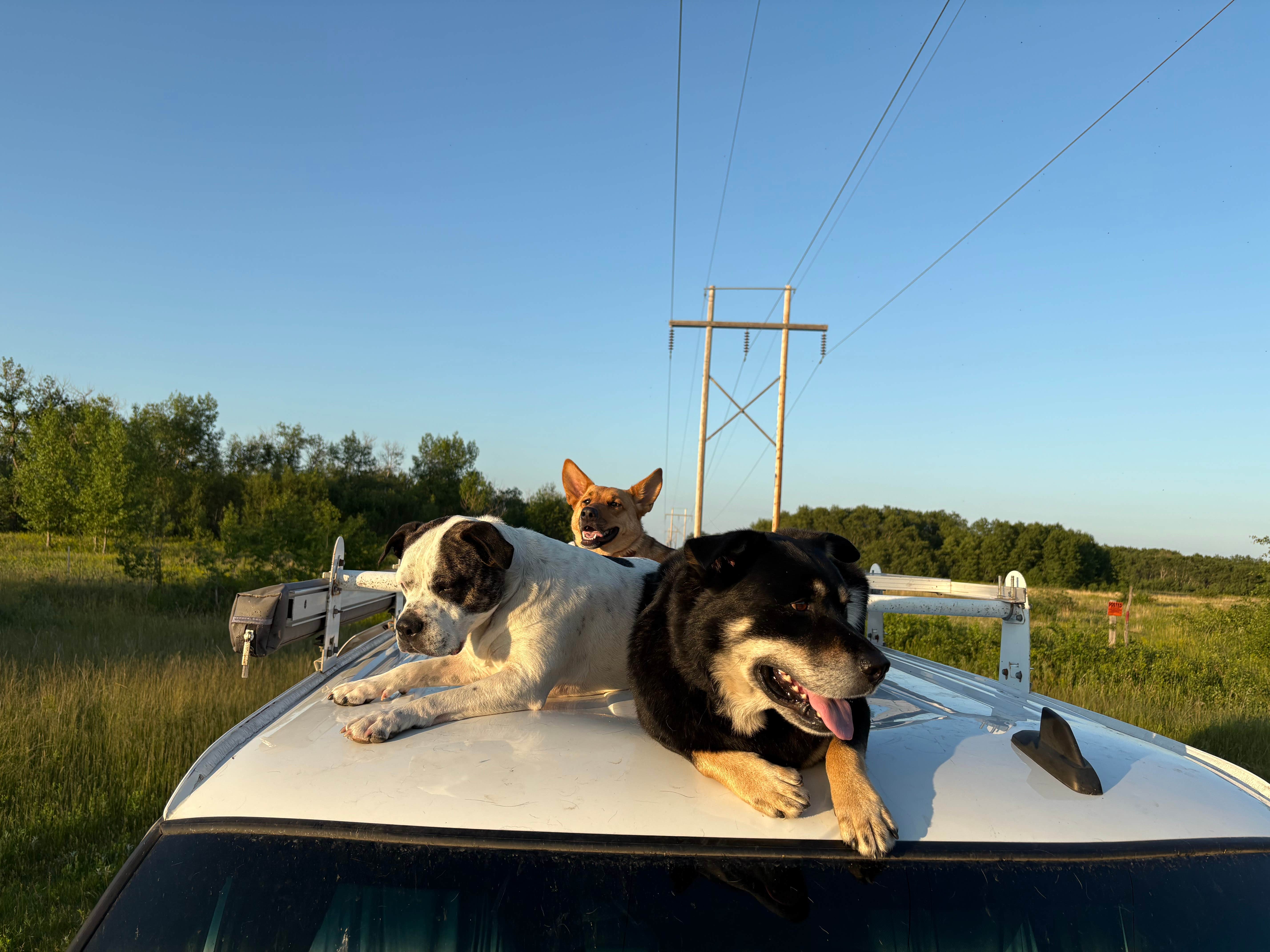 Camper-submitted photo at Denbigh Experimental Forest Dispersed in North Dakota