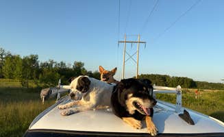 Emily S.'s photo of camping with pets at Denbigh Experimental Forest Dispersed near Harvey, ND