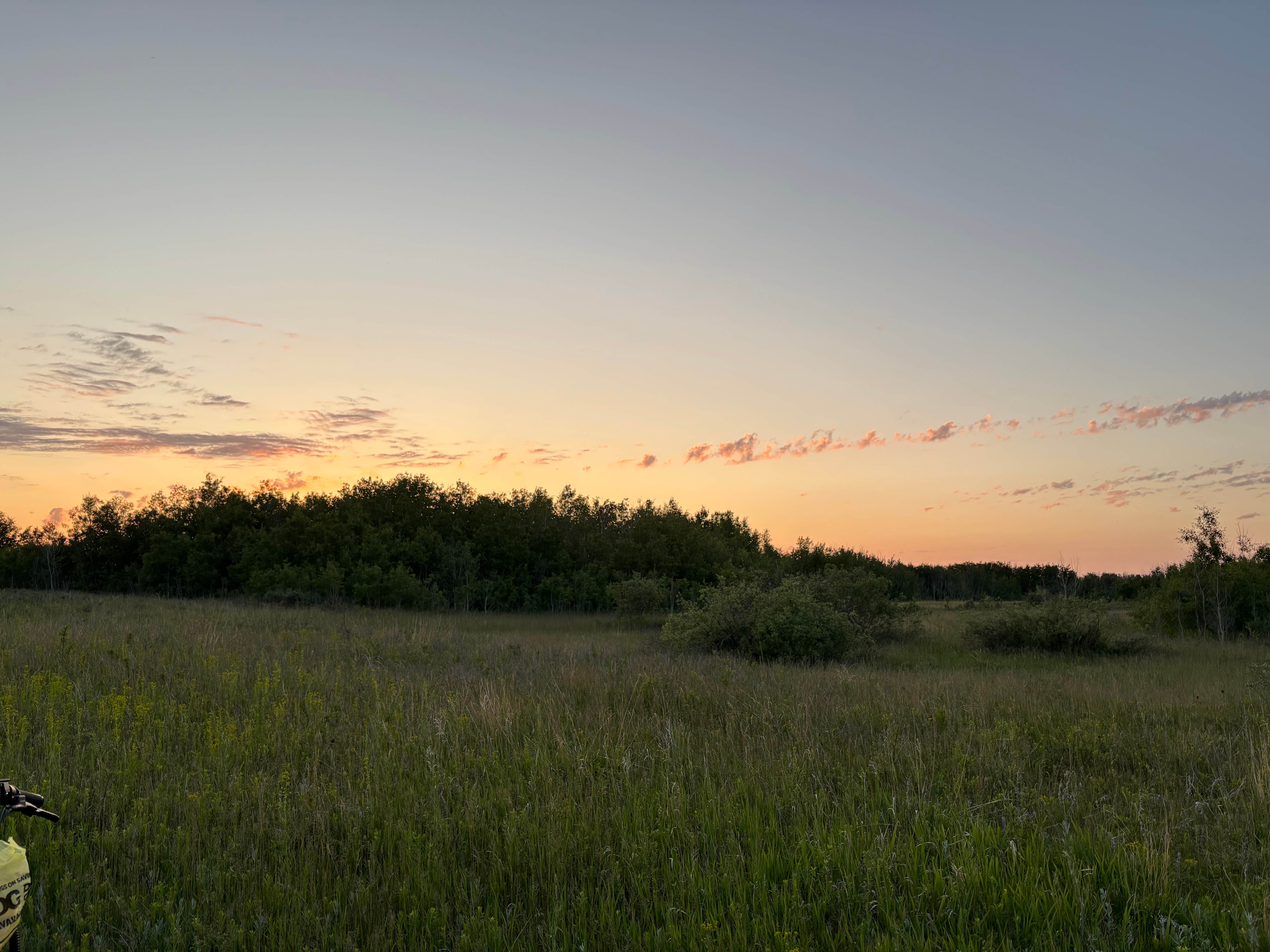 Emily S.'s photo of a dispersed camping area at Denbigh Experimental Forest Dispersed in North Dakota
