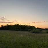 Review photo of Denbigh Experimental Forest Dispersed by Emily S., June 16, 2025