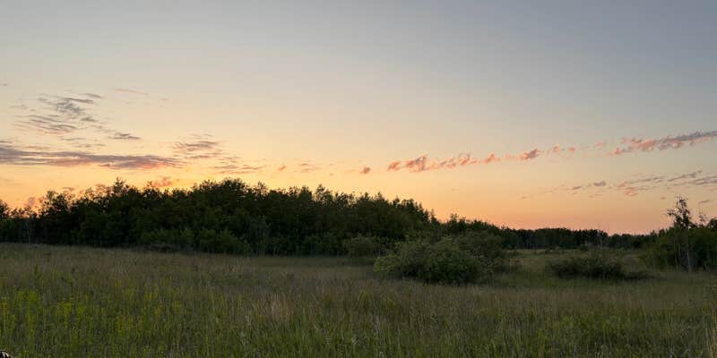 Camper submitted image from Denbigh Experimental Forest Dispersed