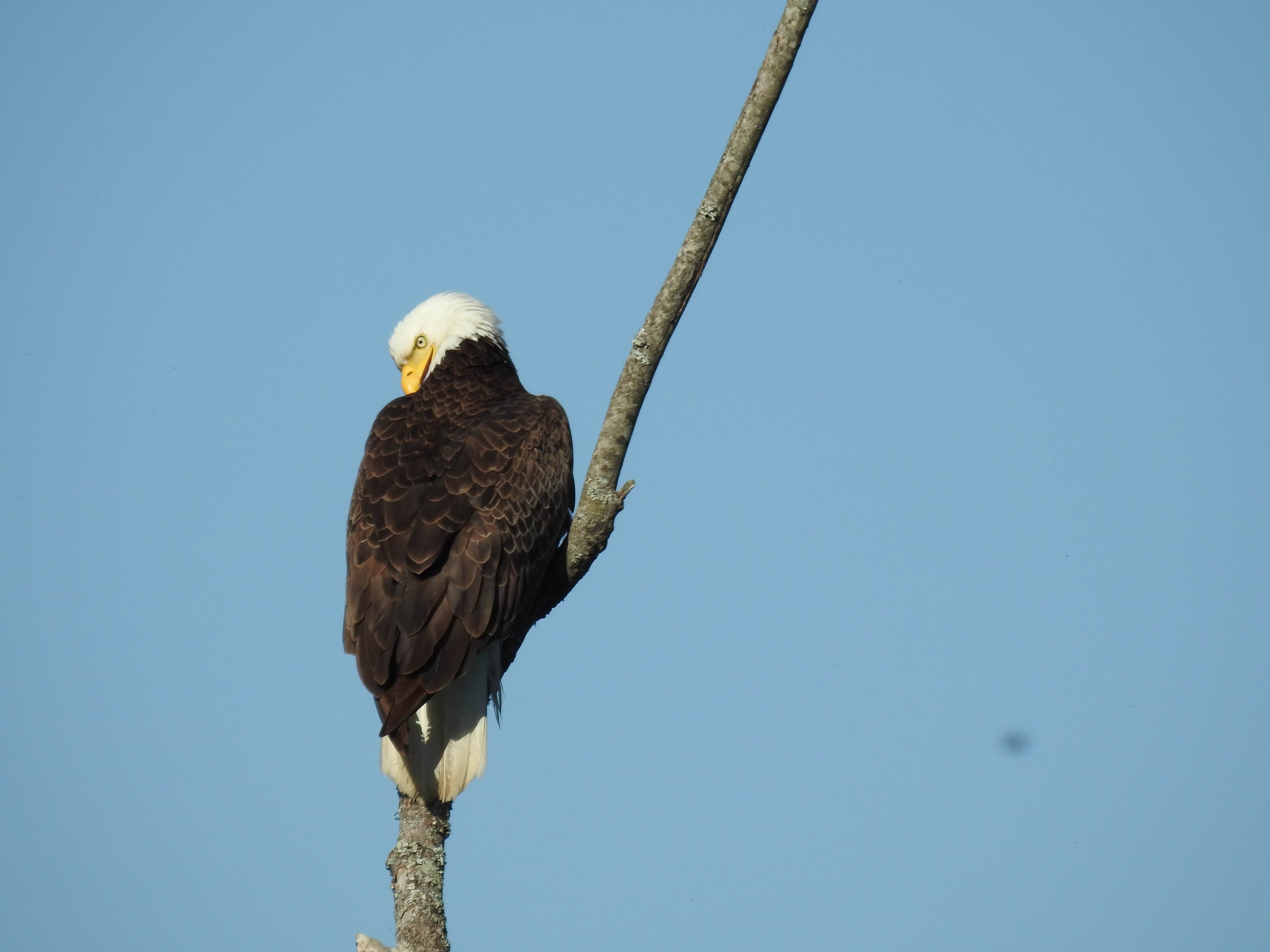 Camper submitted image from Denton Ferry RV Park - 5