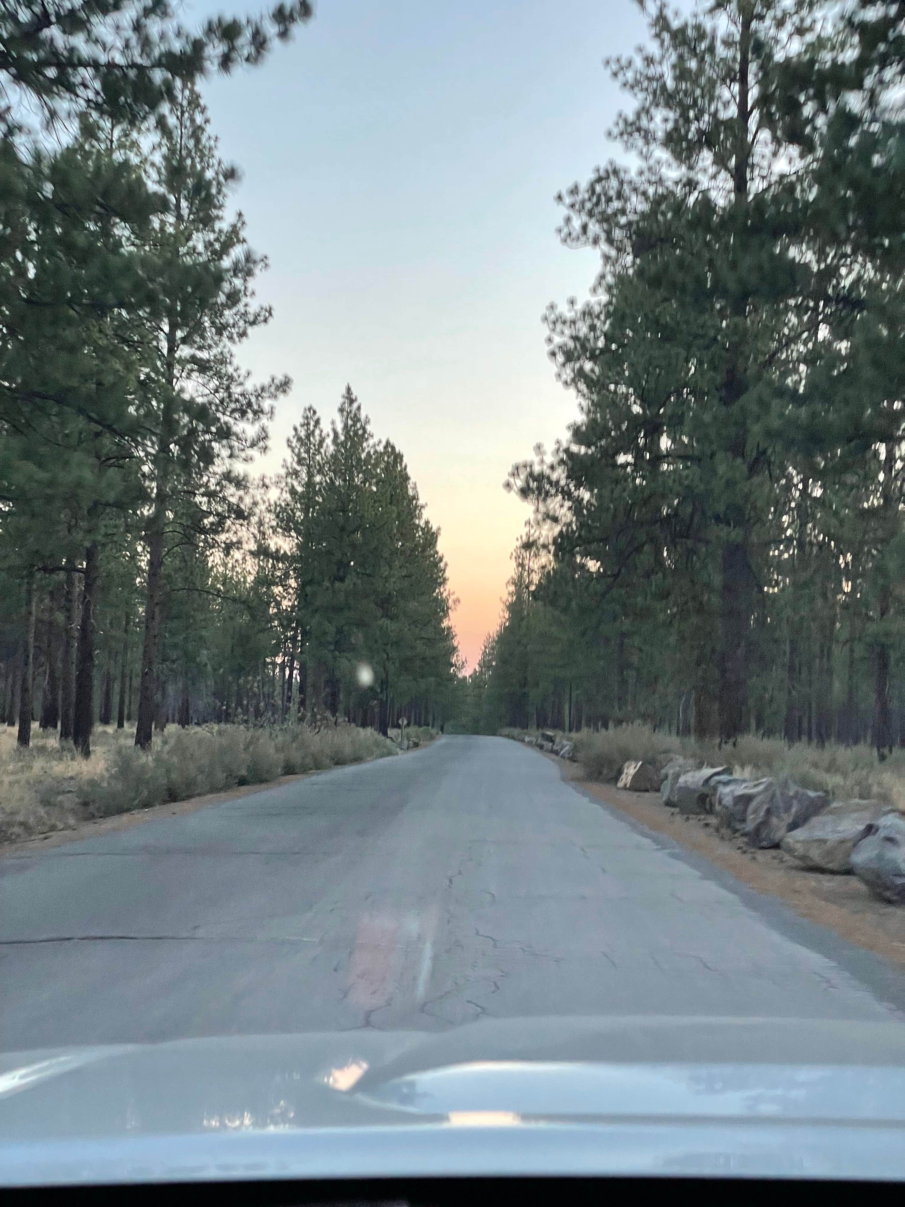 Nicholas F.'s photo of a dispersed camping area at Deschutes Forest NFD 4600-120 Dispersed Camping near Terrebonne, OR