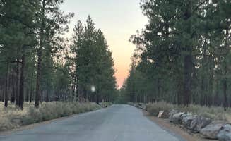 Nicholas F.'s photo of a dispersed camping area at Deschutes Forest NFD 4600-120 Dispersed Camping near Deschutes & Ochoco National Forests & Crooked River National Grassland