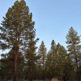 Review photo of Deschutes Forest NFD 4600-120 Dispersed Camping by Joanna H., October 5, 2025