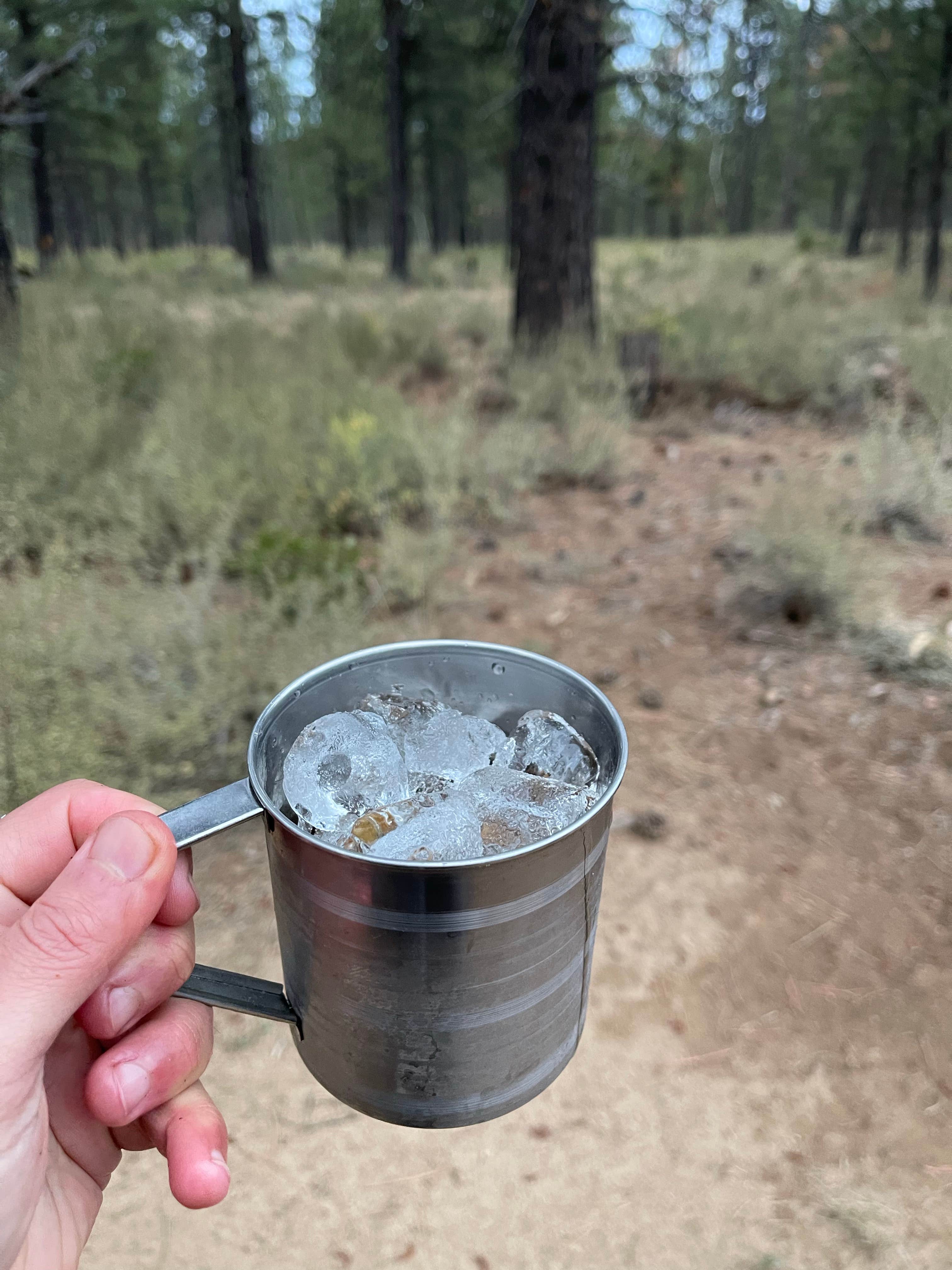 Camper submitted image from Deschutes Forest NFD 4600-120 Dispersed Camping - 4